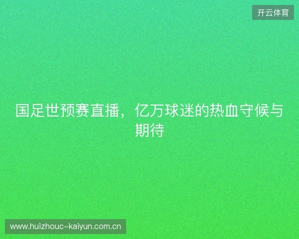 国足世预赛直播，亿万球迷的热血守候与期待